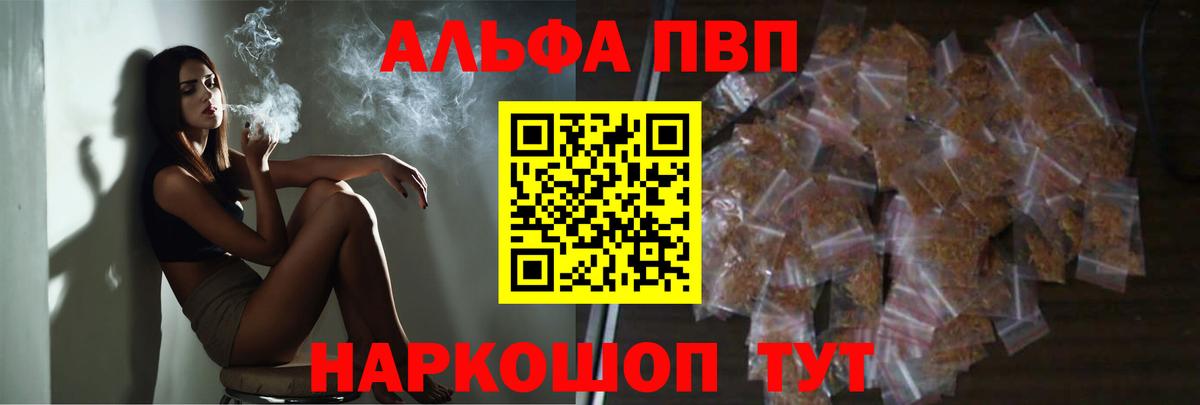 МЕФ Новозыбков