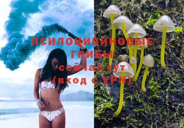 молекула духа Алзамай