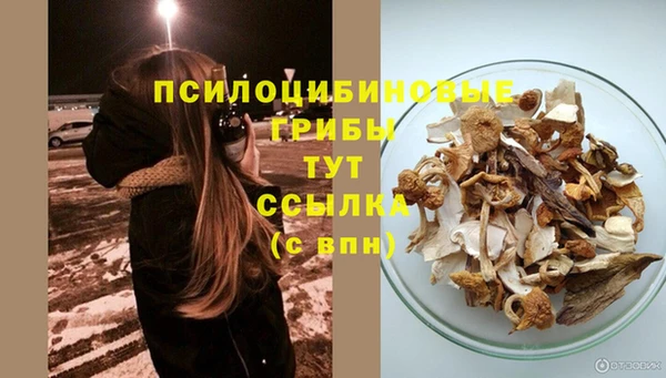ПСИЛОЦИБИНОВЫЕ ГРИБЫ Алексин