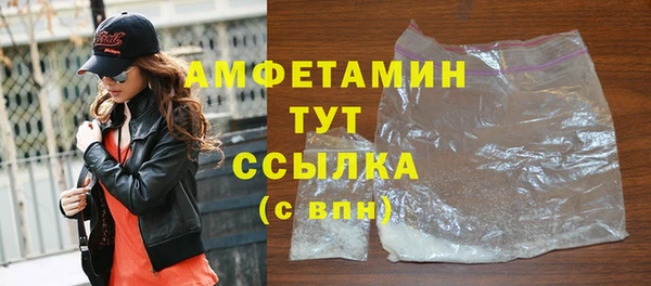 молекула духа Алзамай