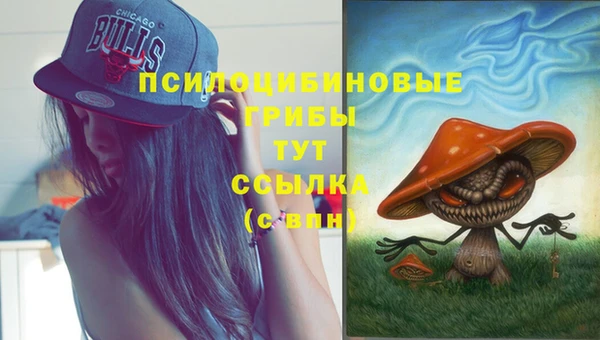 гашик Алексеевка