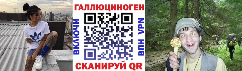 Галлюциногенные грибы прущие грибы  Новозыбков 