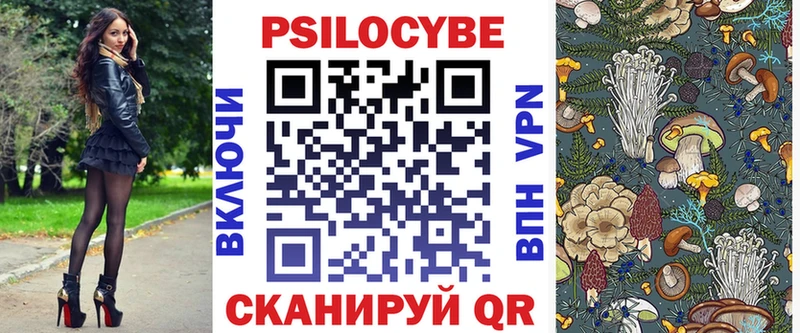 Псилоцибиновые грибы Psilocybine cubensis Новозыбков