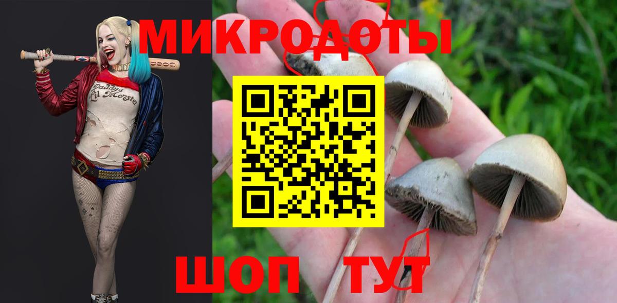 Новозыбков  Псилоцибиновые грибы GOLDEN TEACHER  Вход с VPN 