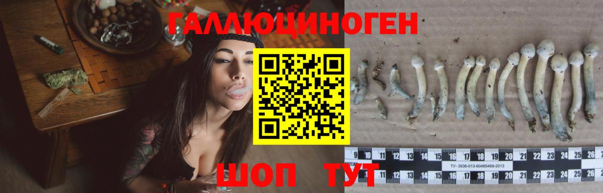 Псилоцибиновые грибы ЛСД Новозыбков